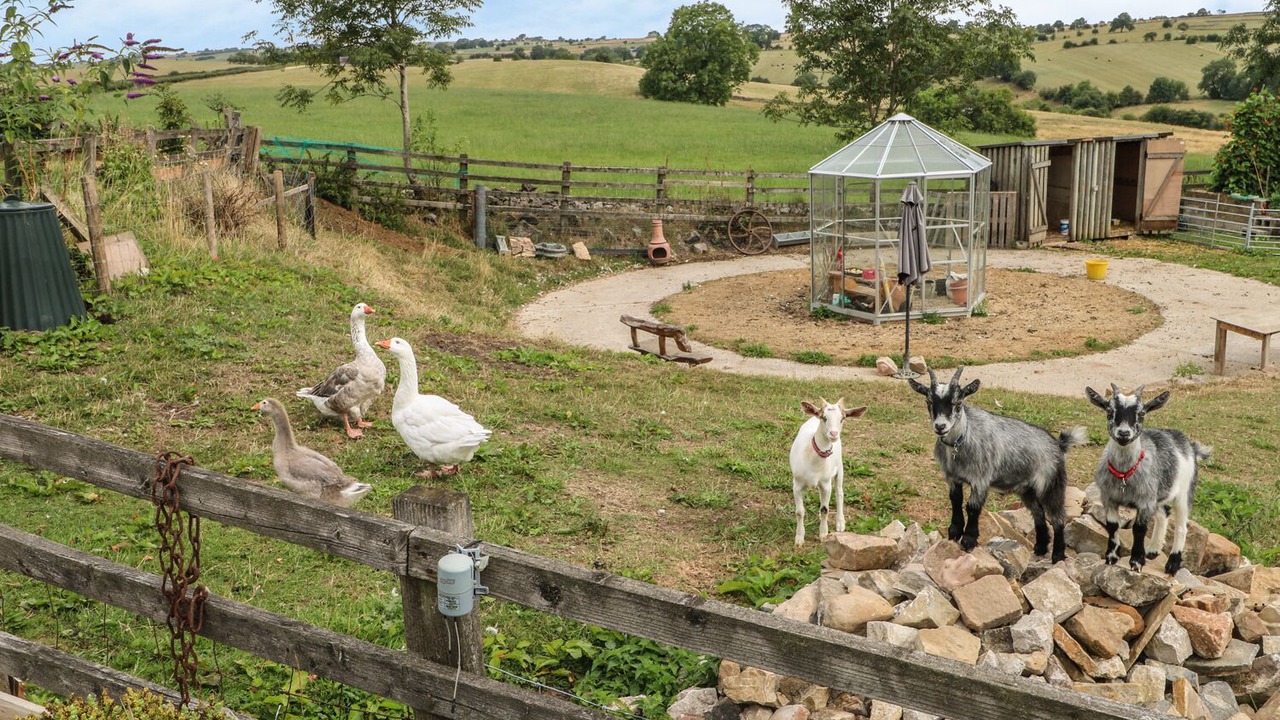 Photo of Others in Winkhill