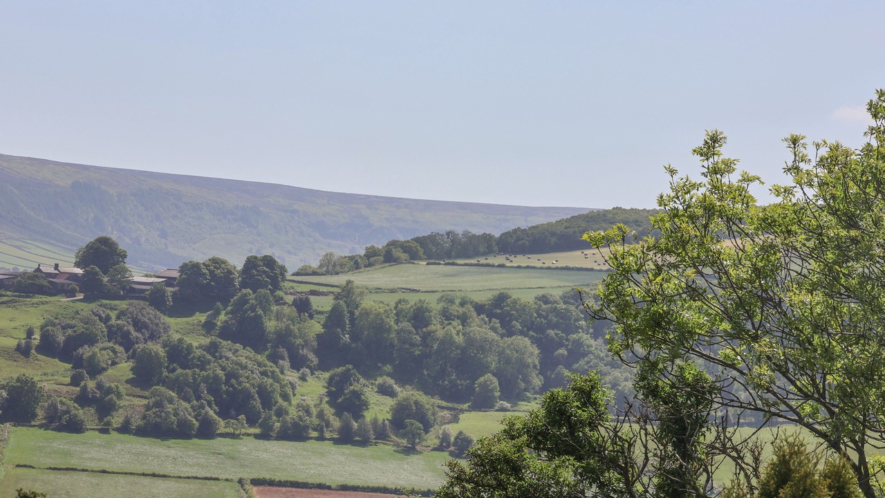 Photo of Others in Great Fryup Dale