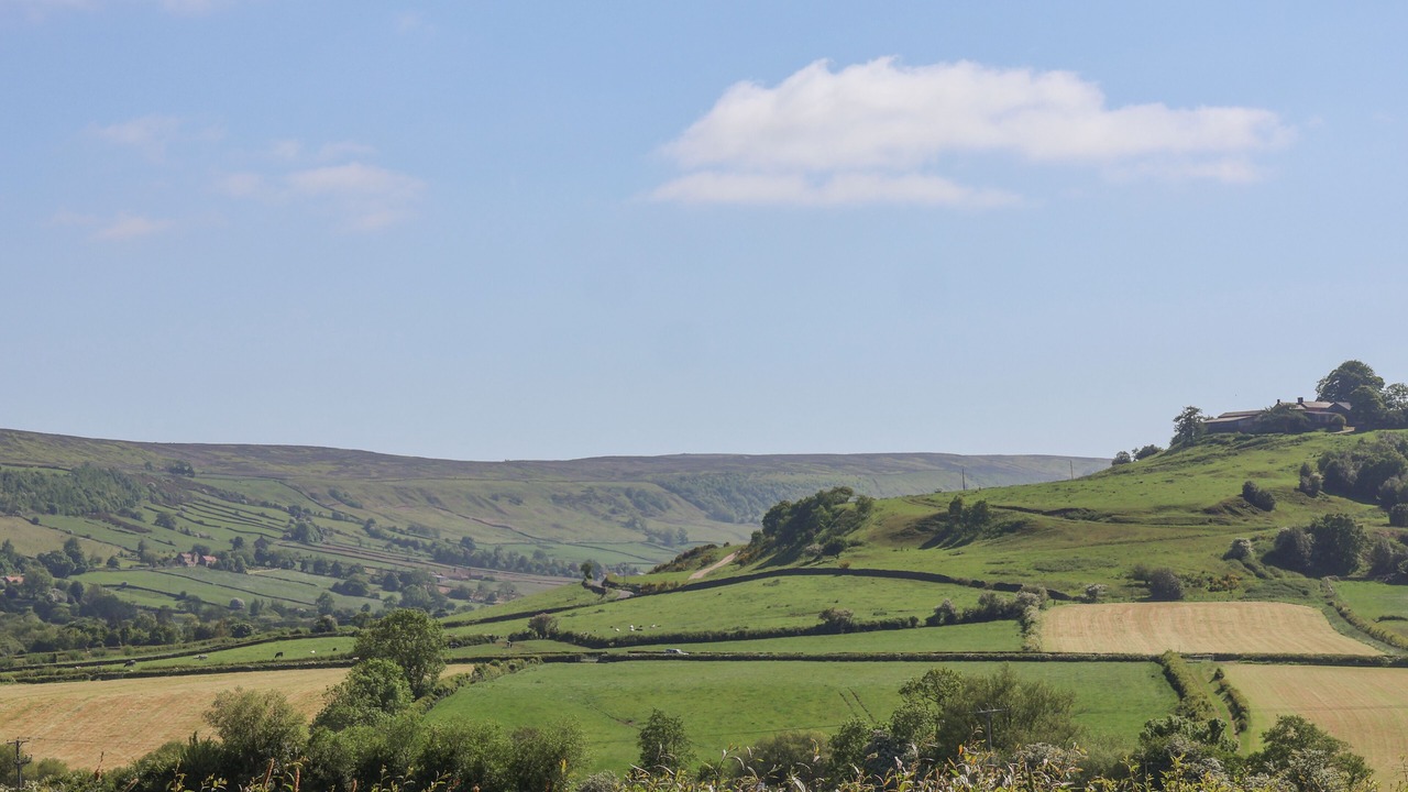 Photo of Others in Great Fryup Dale