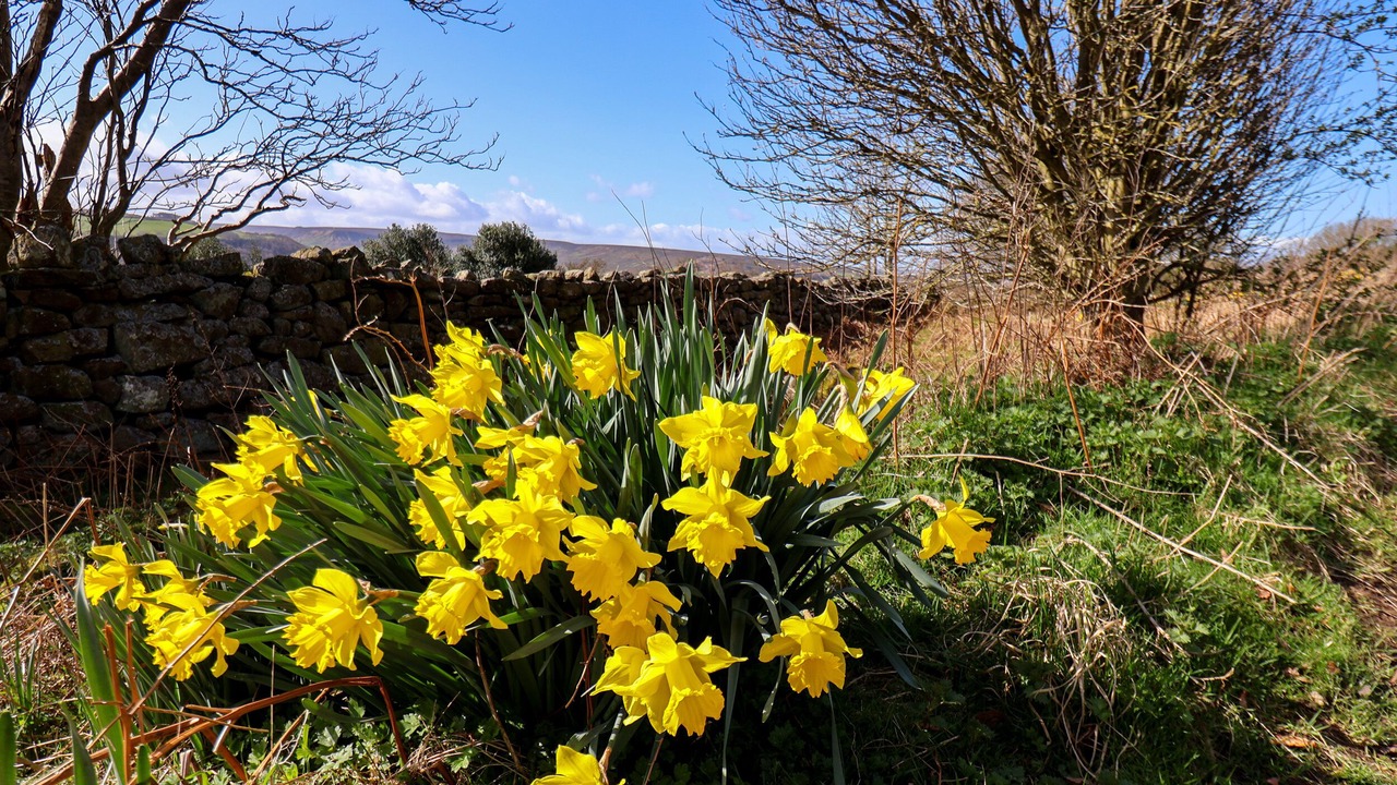 Photo of Others in Great Fryup Dale