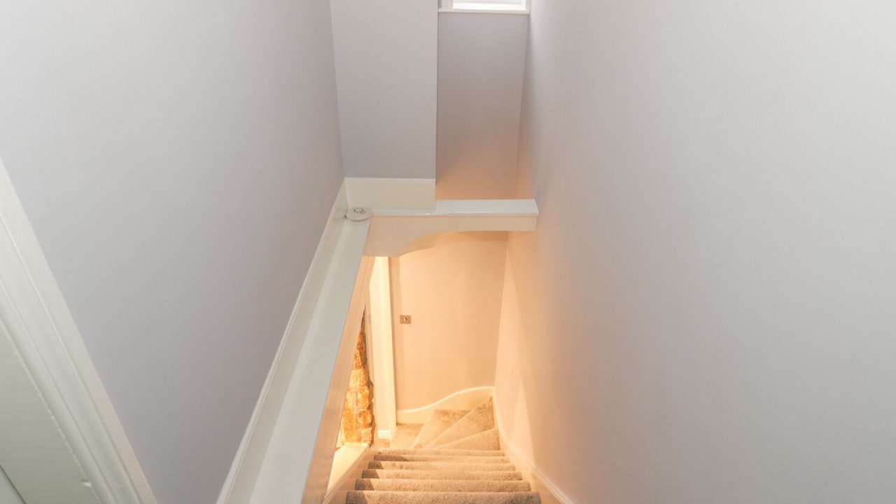 Photo of Others in Tynemouth