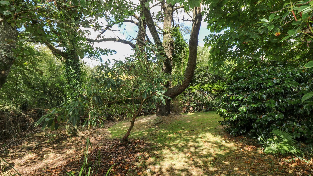 Photo of Others in Truro