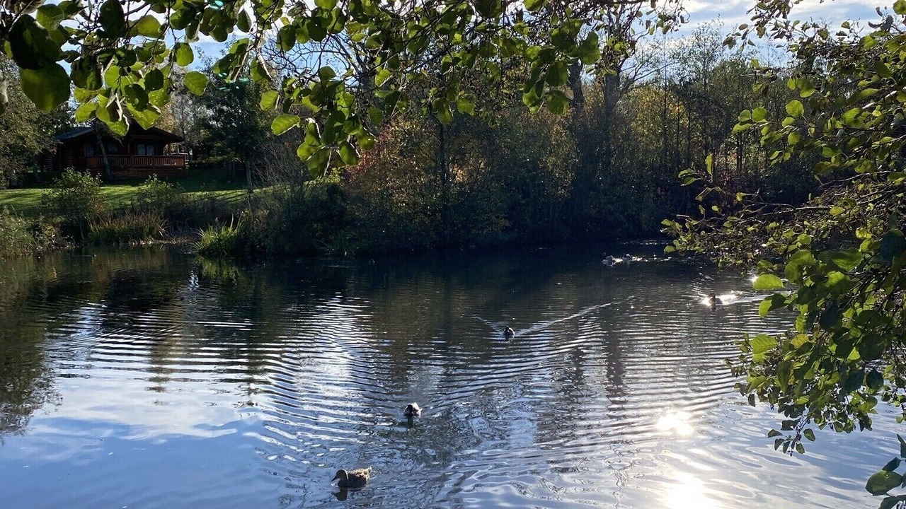 Photo of Outdoor in Morpeth