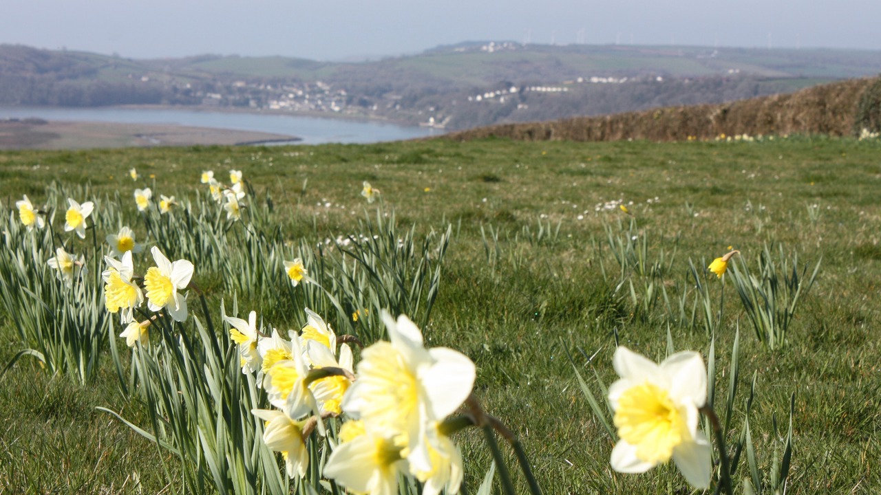 Photo of Others in Llanybri