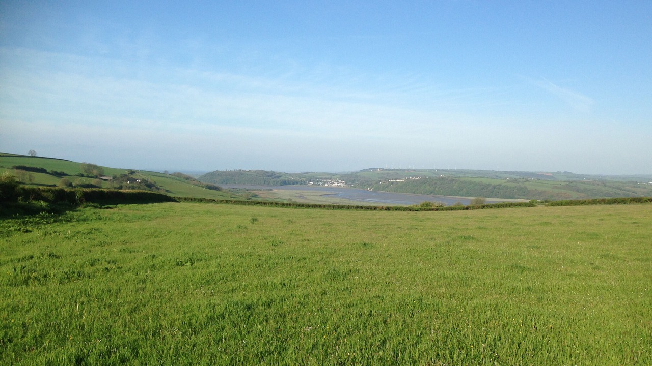 Photo of Others in Llanybri