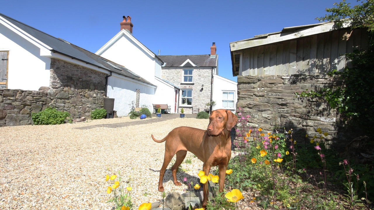 Photo of Others in Llanybri