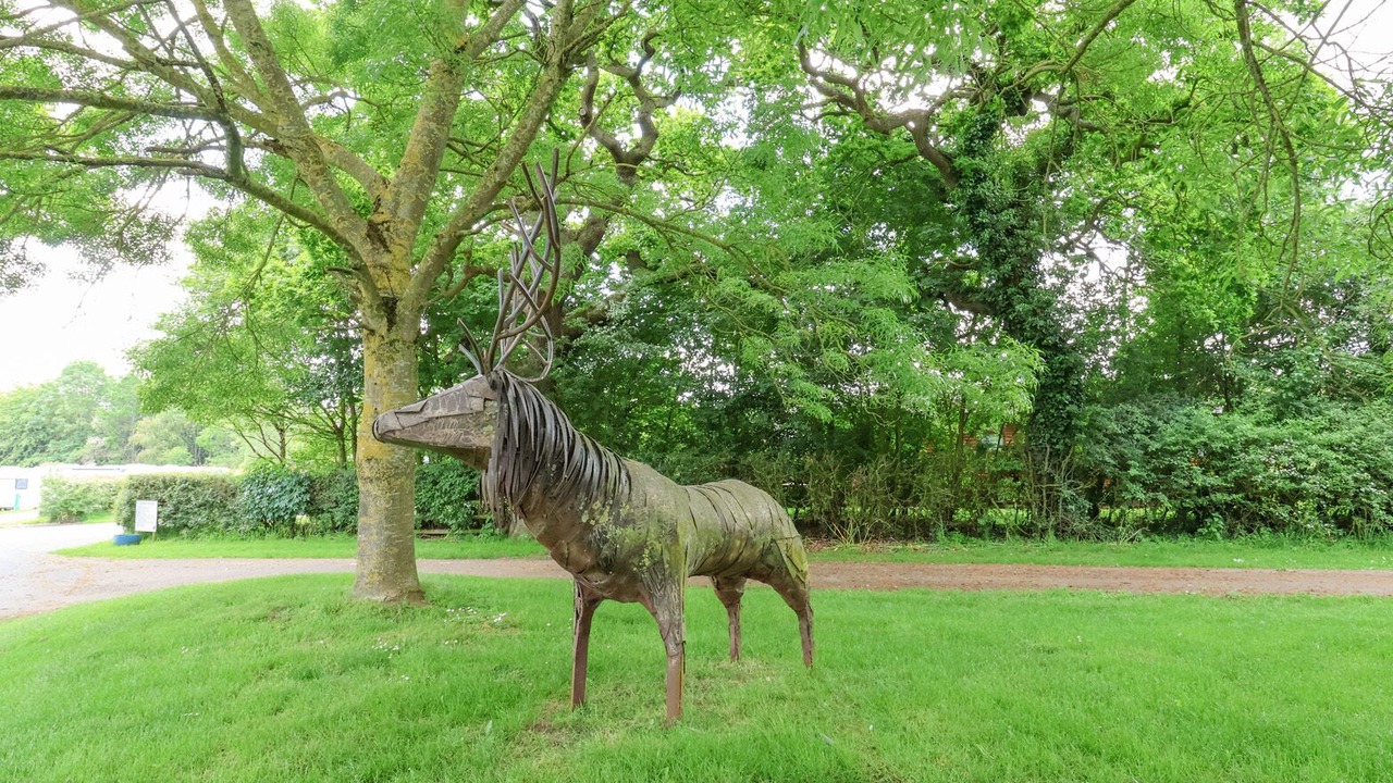 Photo of Others in Shrewsbury