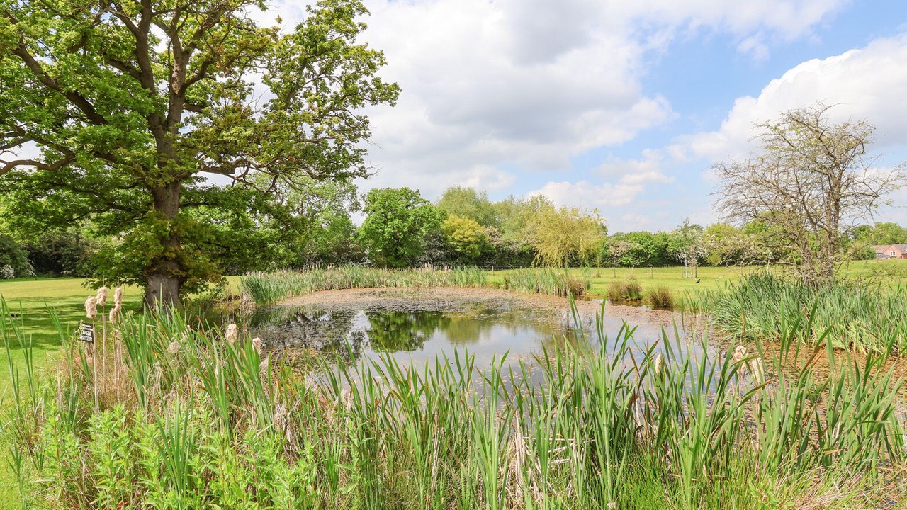 Photo of Others in Shrewsbury