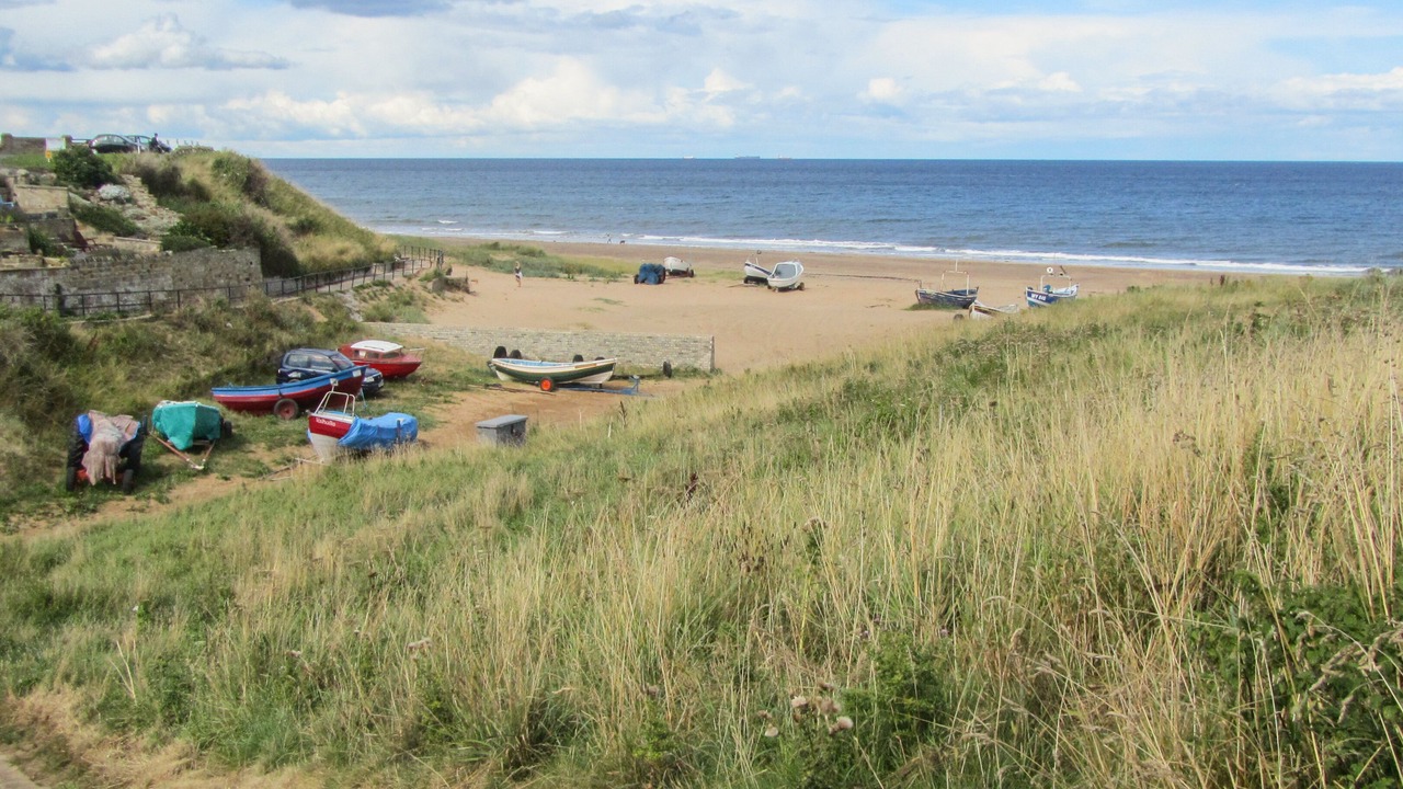 Photo of Others in Marske-by-the-Sea