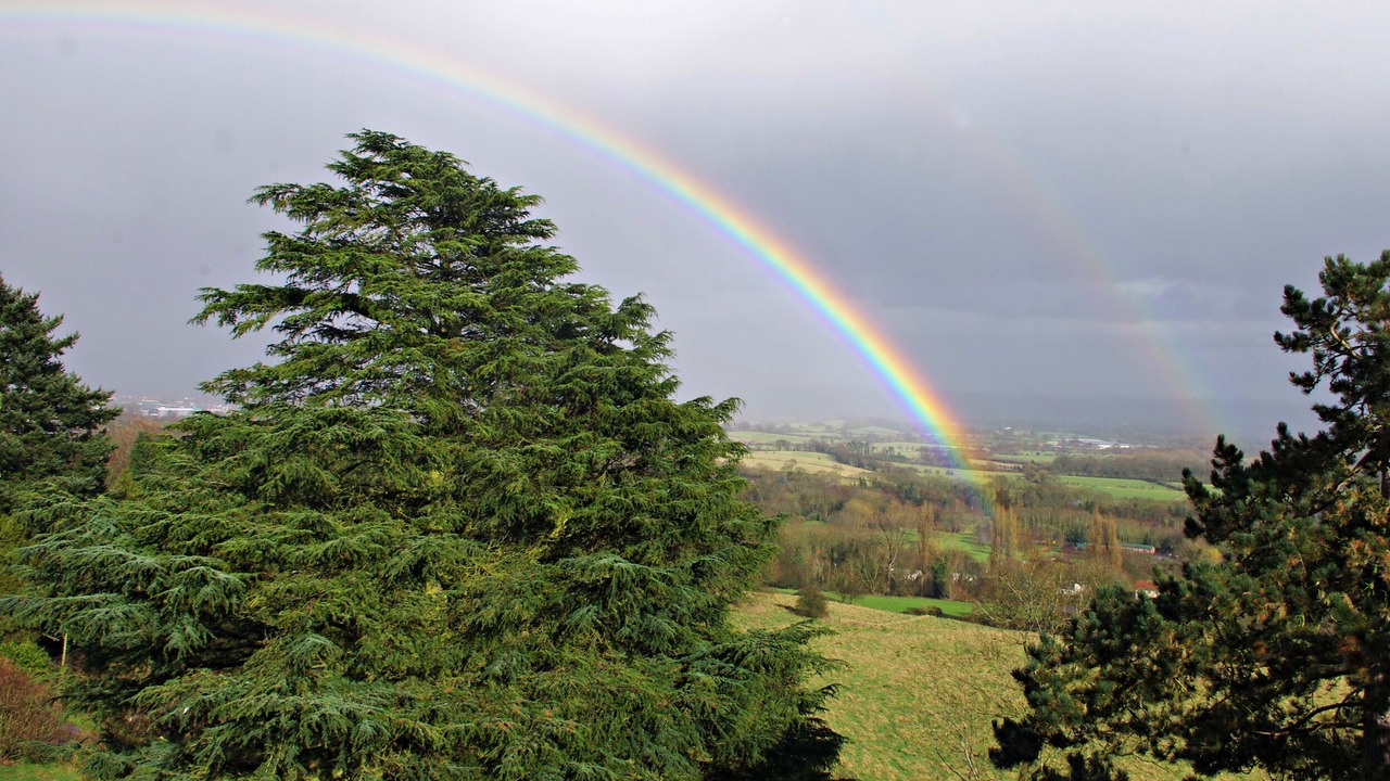 Photo of Outdoor in Winterley