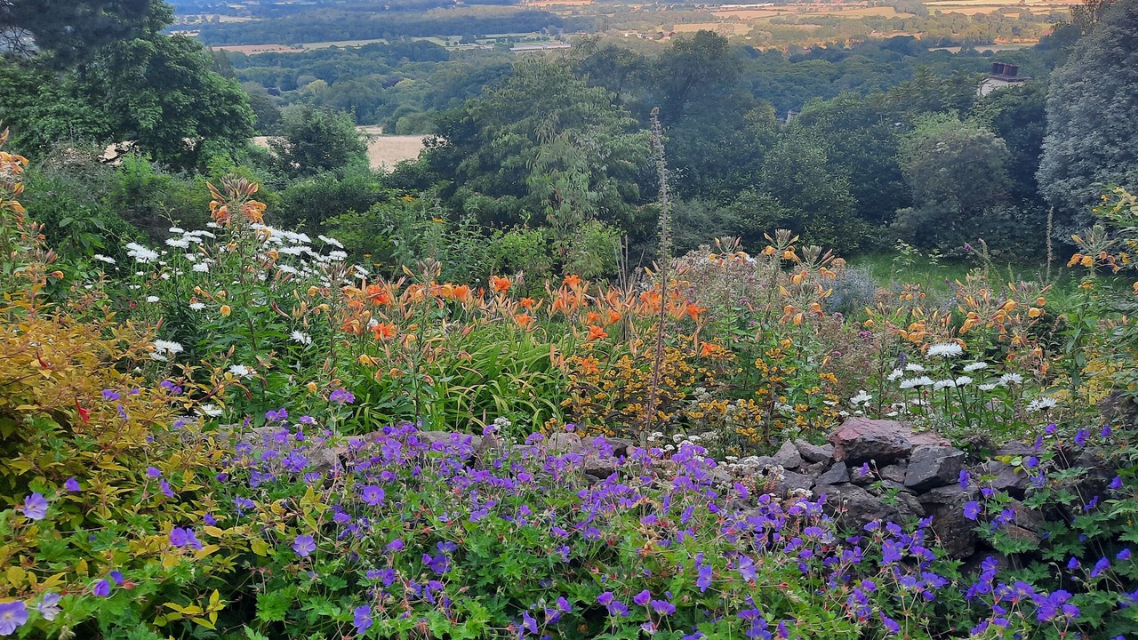 Photo of Others in Winterley