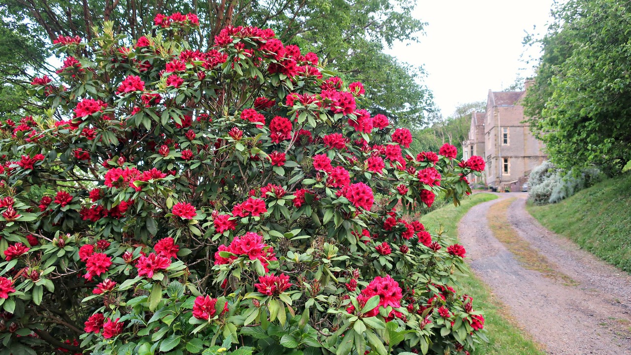 Photo of Outdoor in Winterley