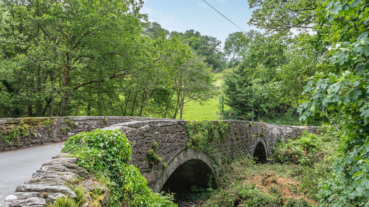 Photo of Others in Bala