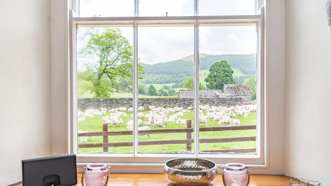 Photo of Others in Bala