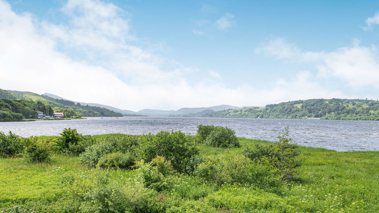 Photo of Others in Bala