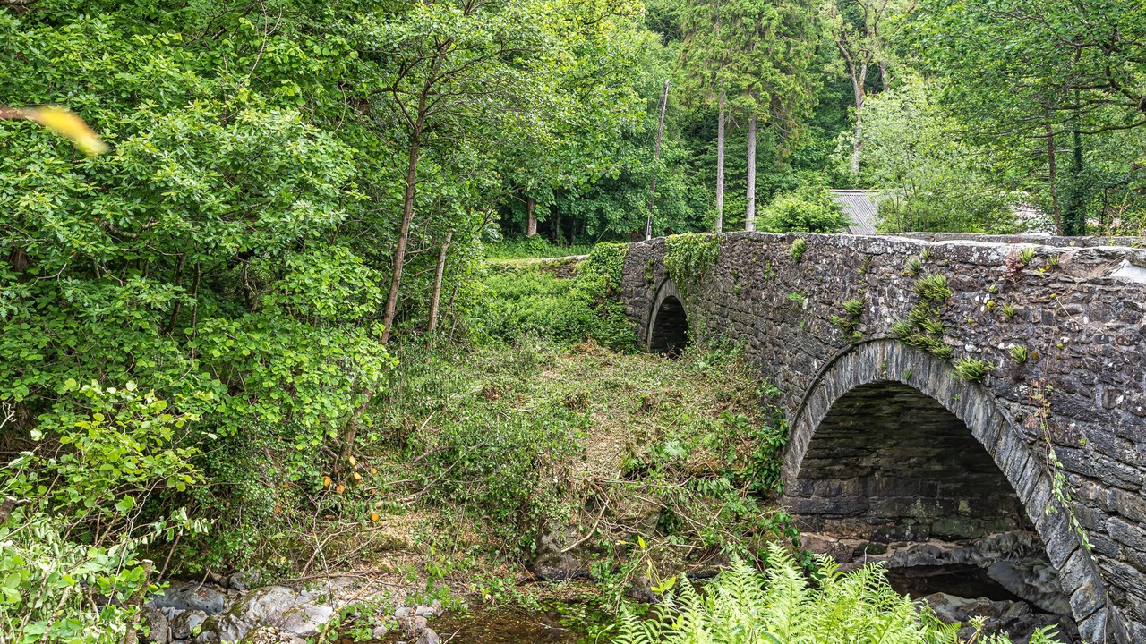 Photo of Others in Bala