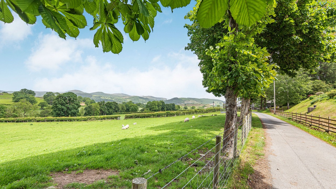 Photo of Others in Bala