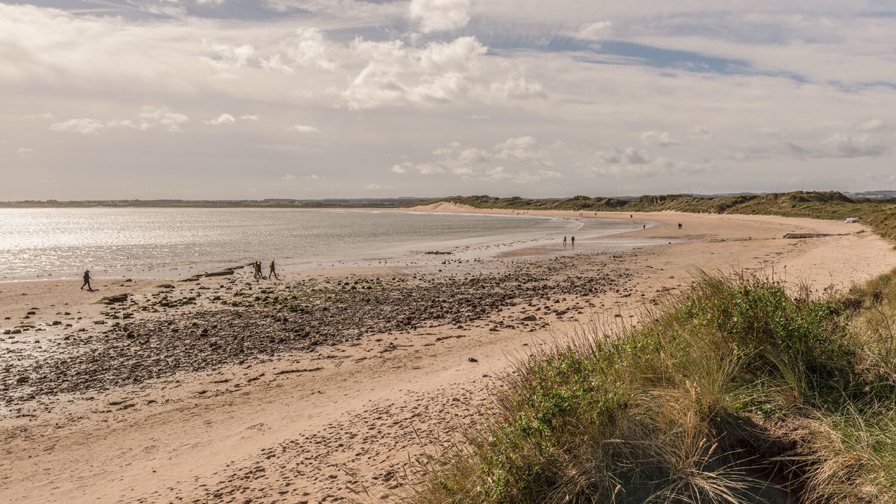 Photo of Others in Beadnell