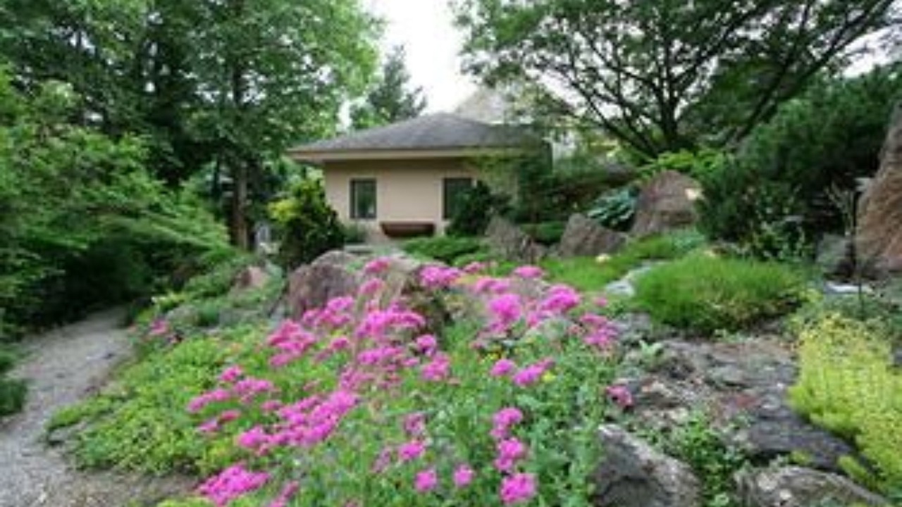 Photo of Outdoor in Media