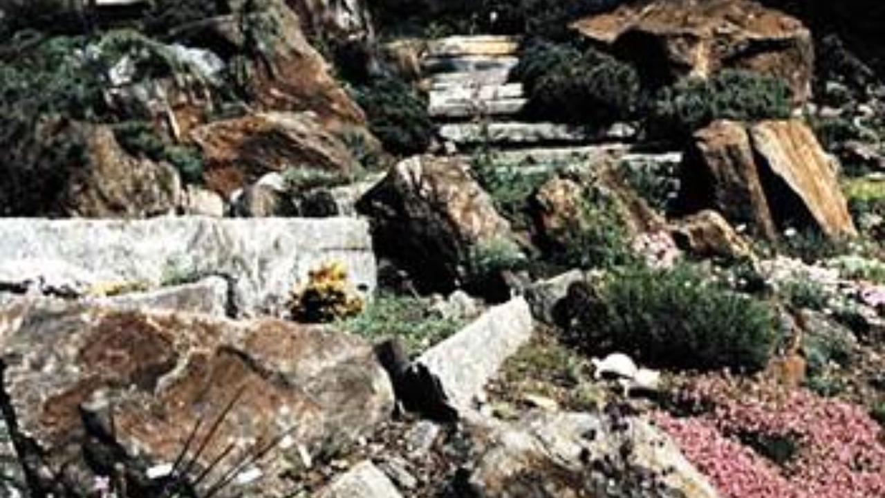 Photo of Outdoor in Media