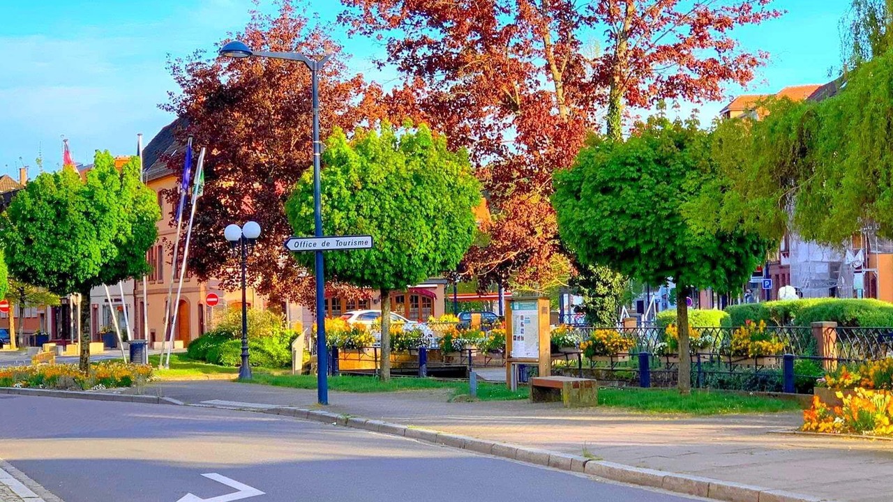 Photo of Outdoor in Niederbronn-les-Bains
