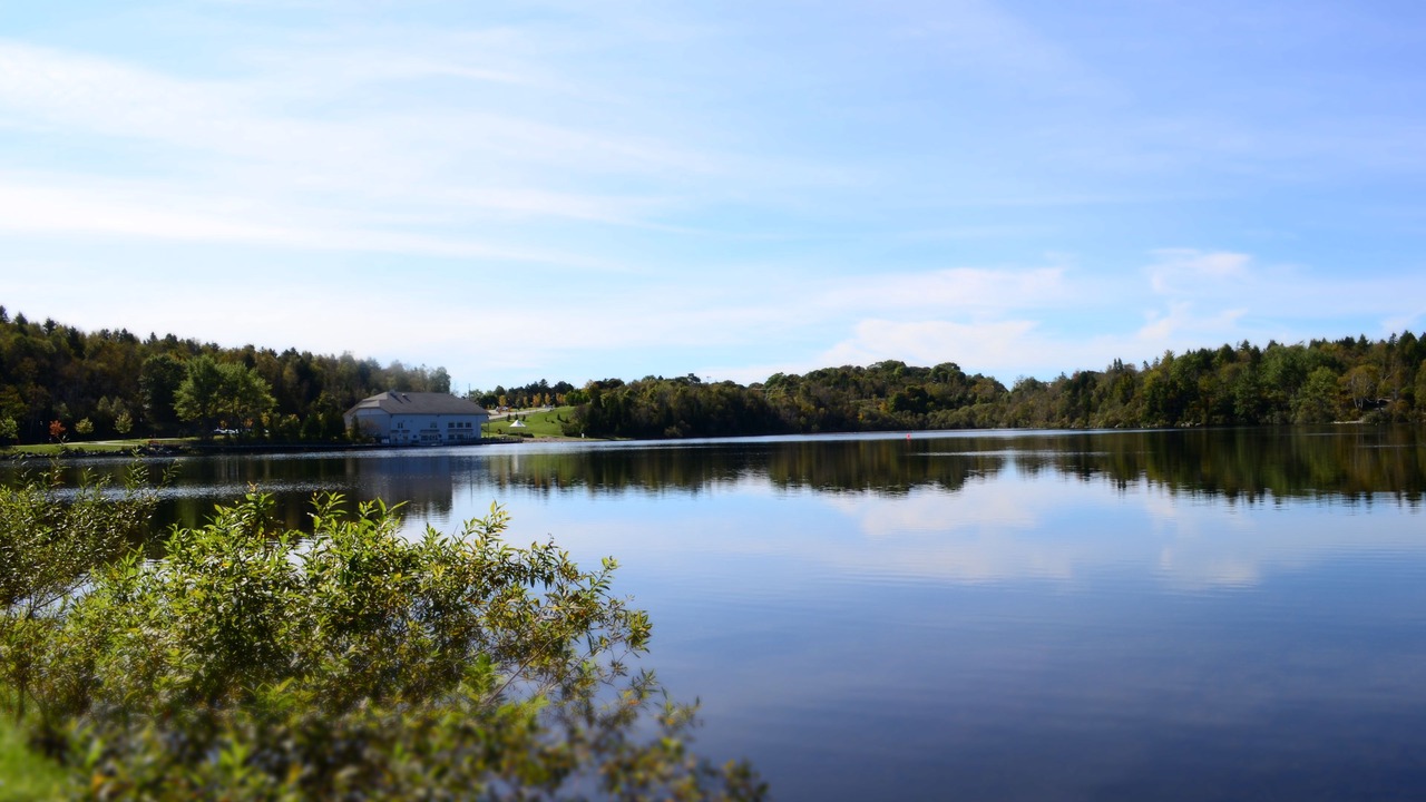 Photo of Others in Saint John