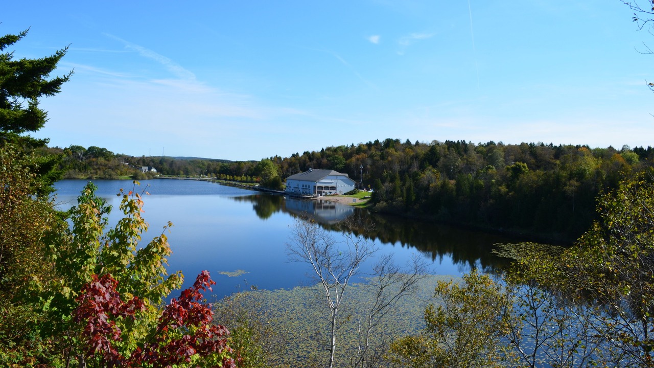 Photo of Others in Saint John