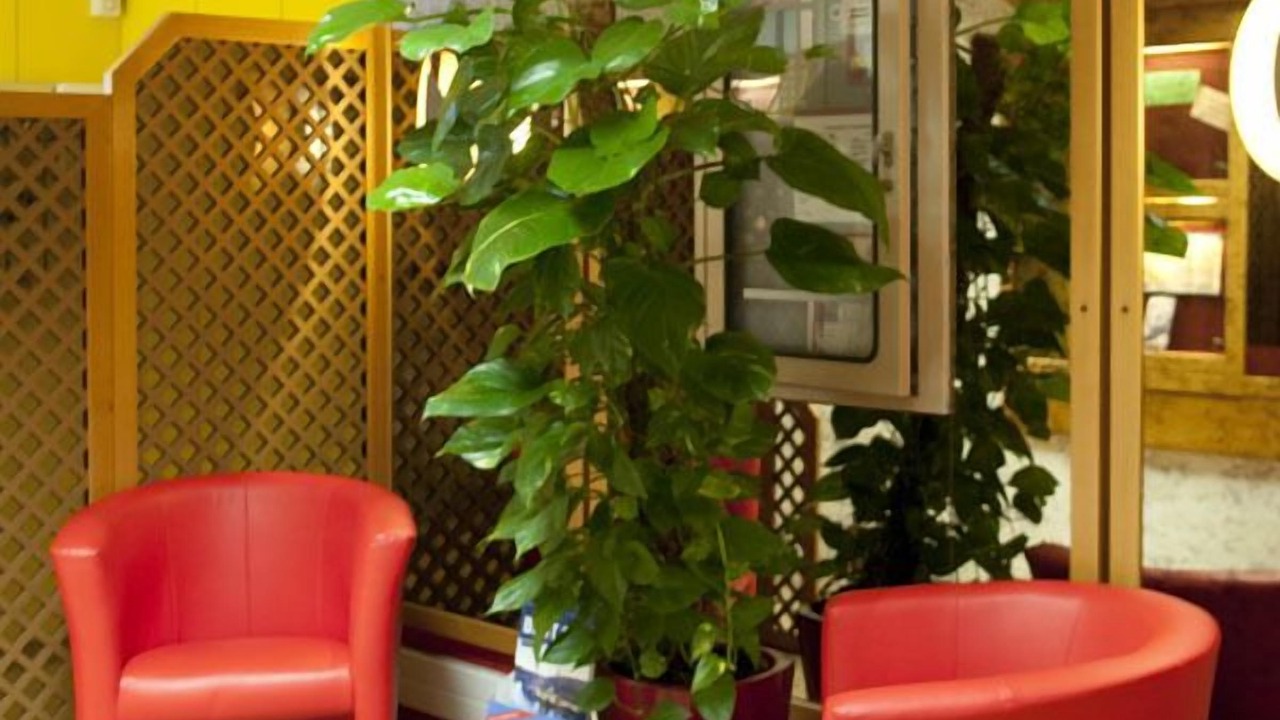 Photo of Others in Biel