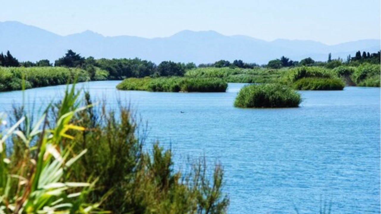 Photo of Outdoor in Les Hauts de Canet