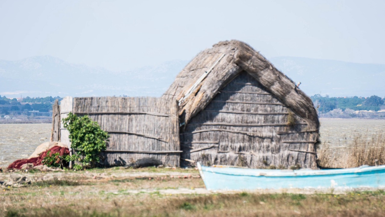 Photo of Others in Les Hauts de Canet