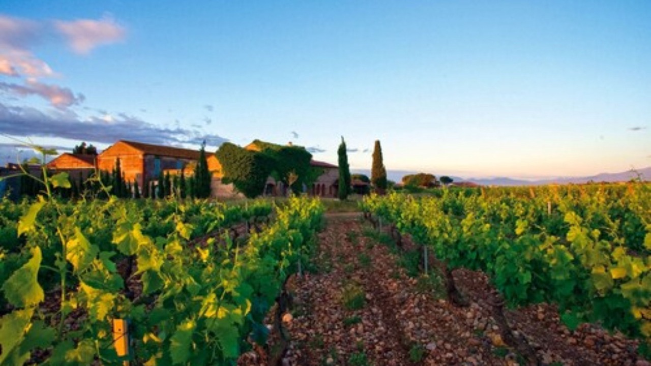 Photo of Outdoor in Les Hauts de Canet