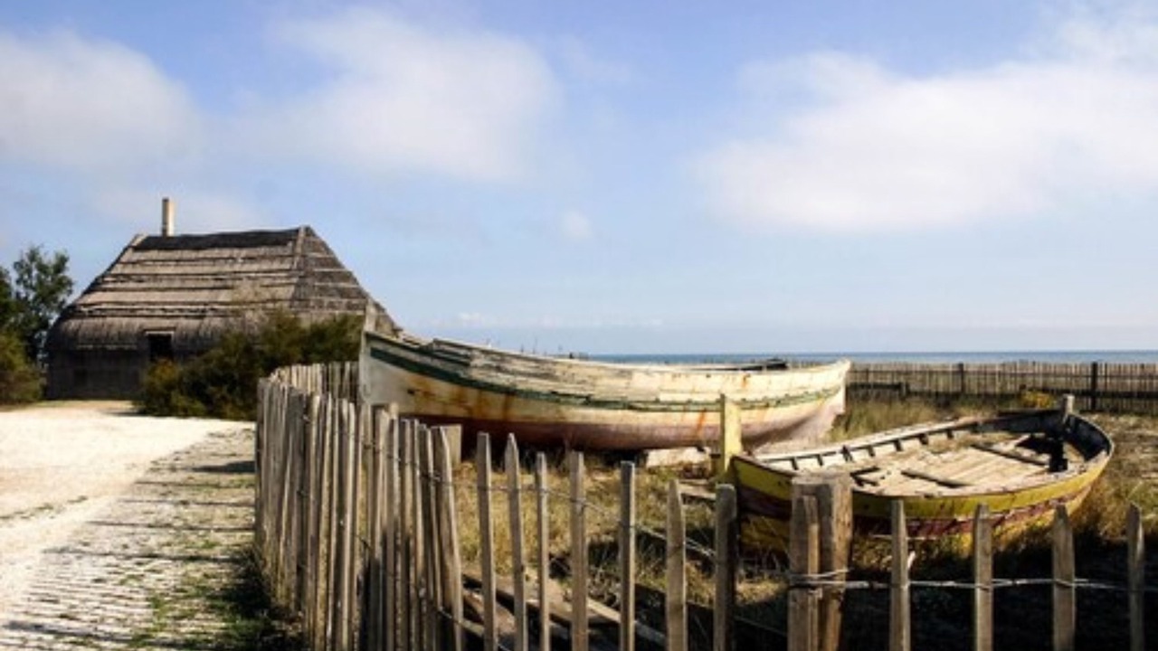 Photo of Others in Les Hauts de Canet