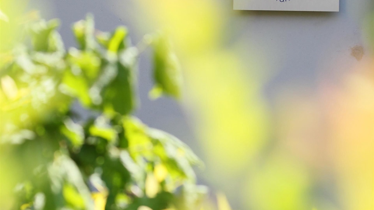 Photo of Outdoor in Ludres