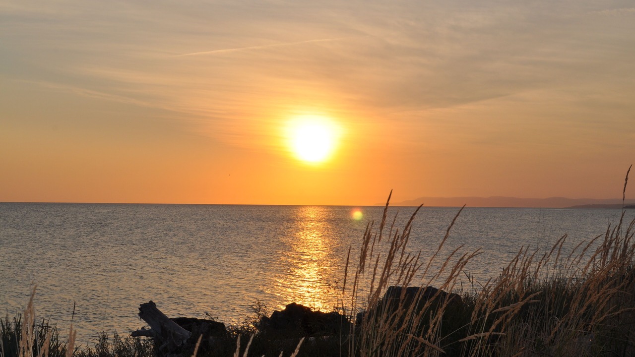 Photo of Others in Bonaventure