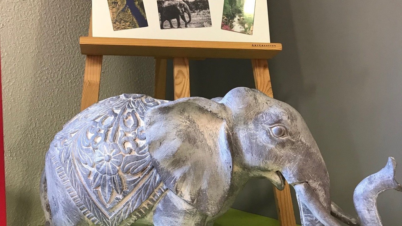 Photo of Others in Chambery