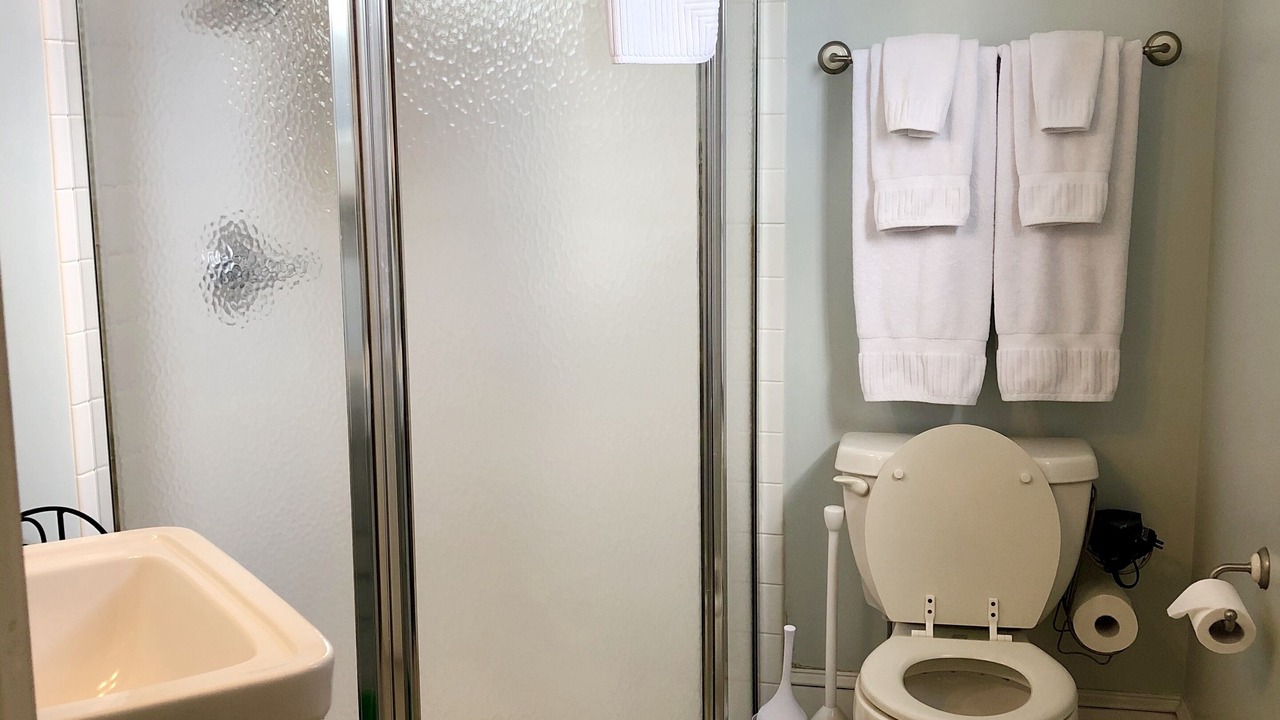 Photo of Bathroom in Lansing