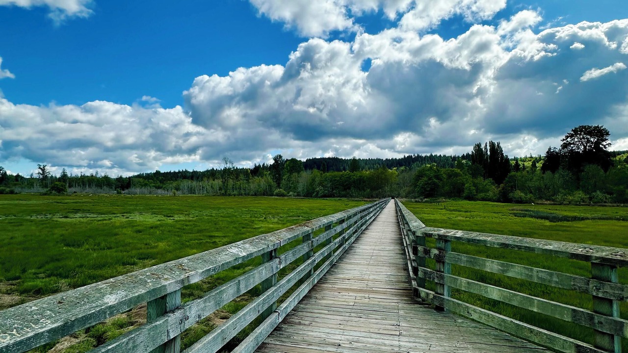 Photo of Outdoor in Belfair