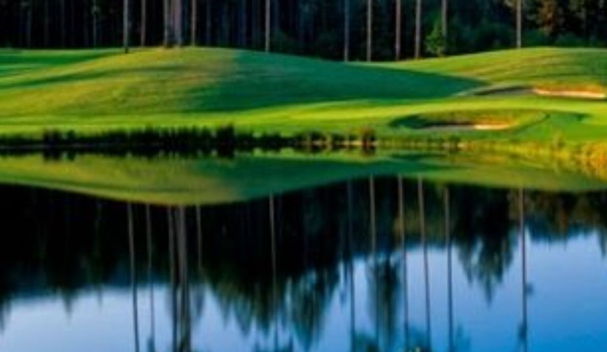 Photo of Others in Belfair