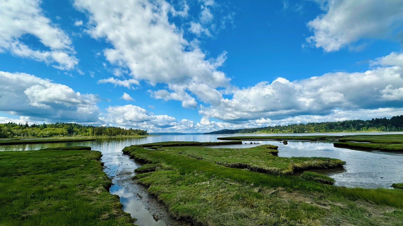 Photo of Outdoor in Belfair