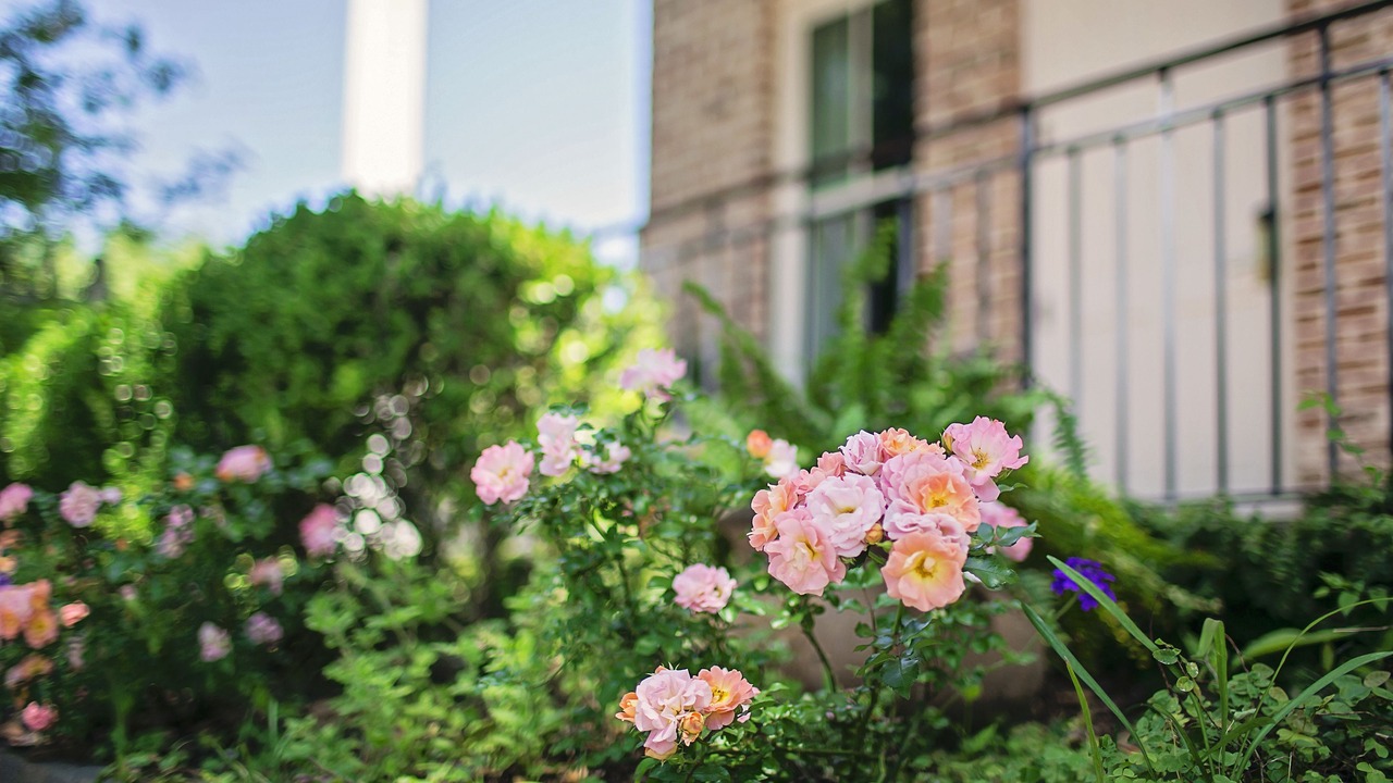 Photo of Outdoor in Historic Downtown