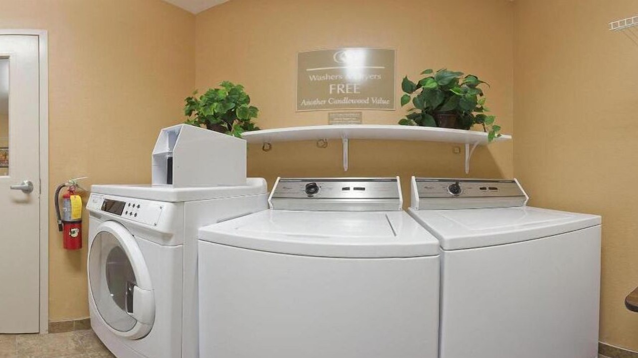 Photo of Bedroom in Westchase