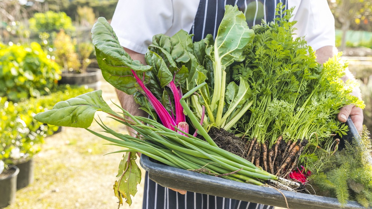 Photo of Outdoor in Clifton