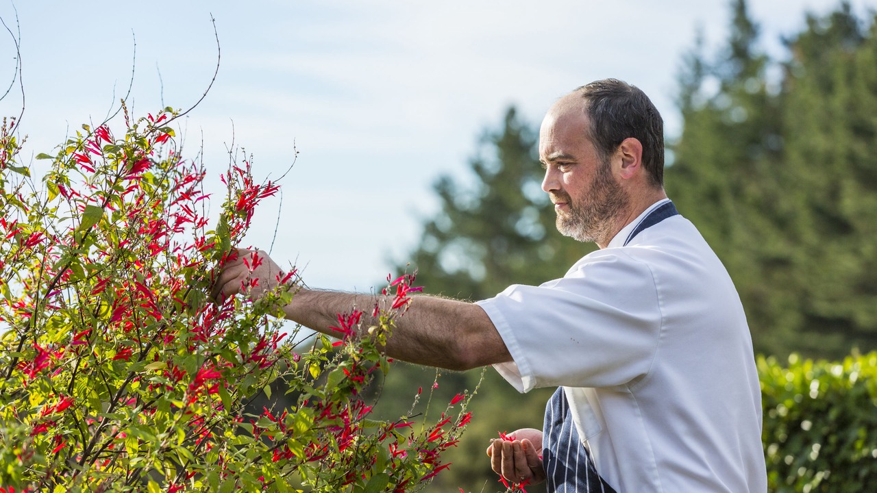 Photo of Outdoor in Clifton