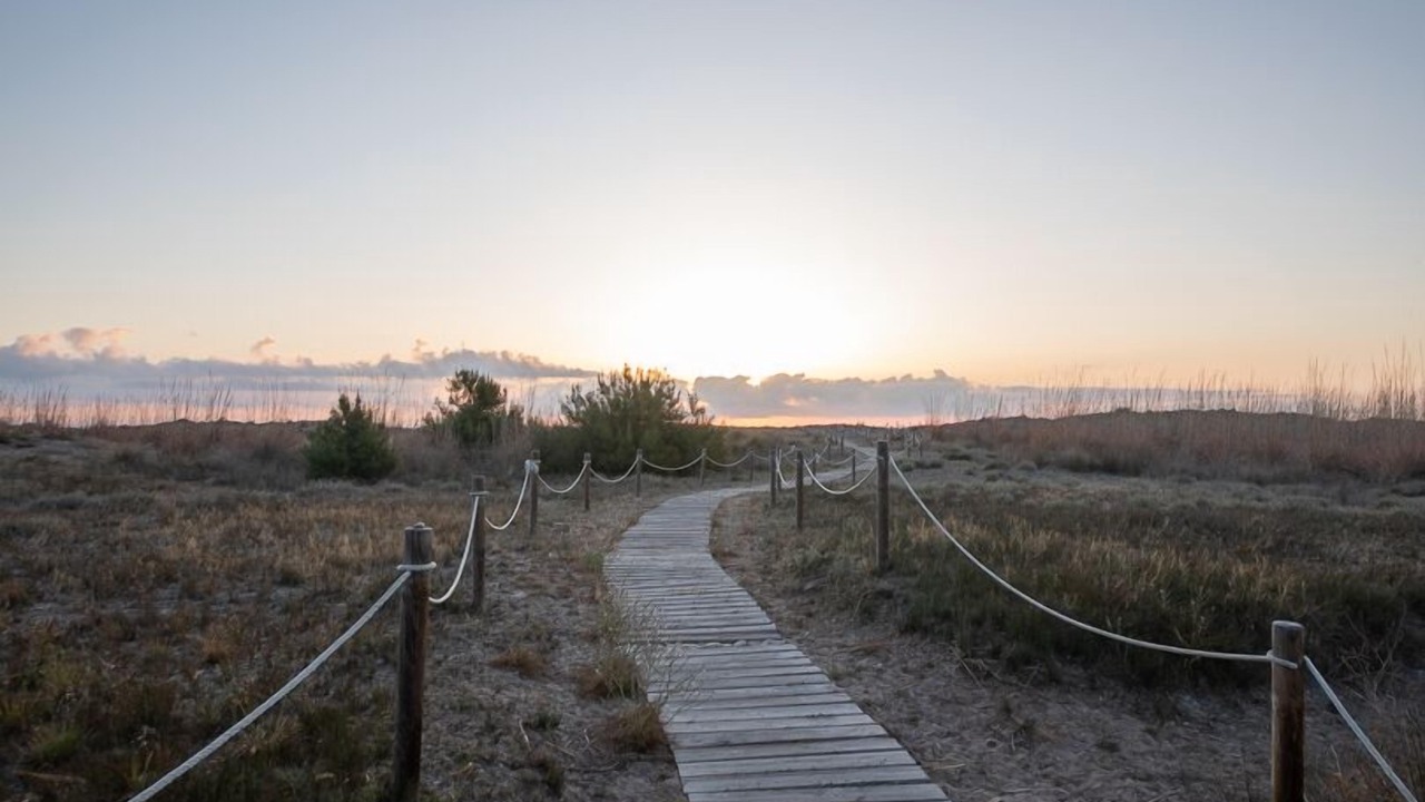 Photo of Outdoor in Almarda