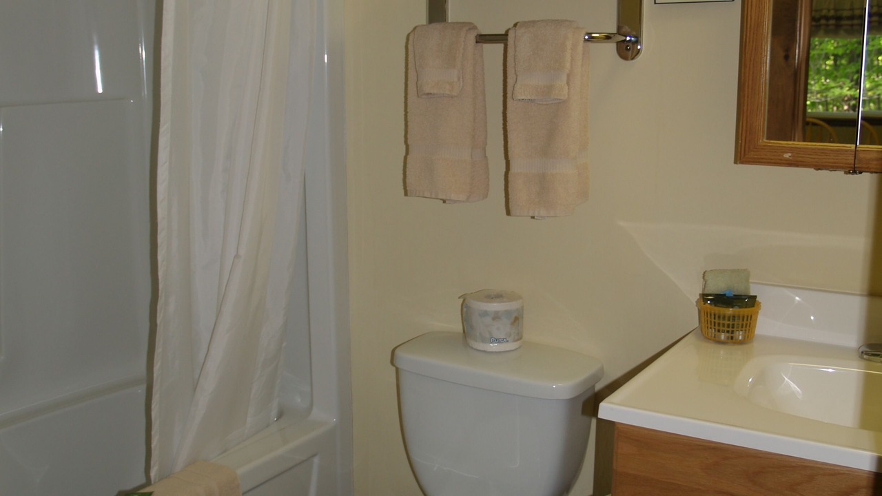 Photo of Bathroom in Dryden