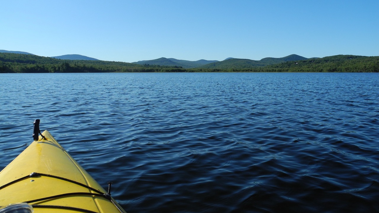 Photo of Others in Dryden