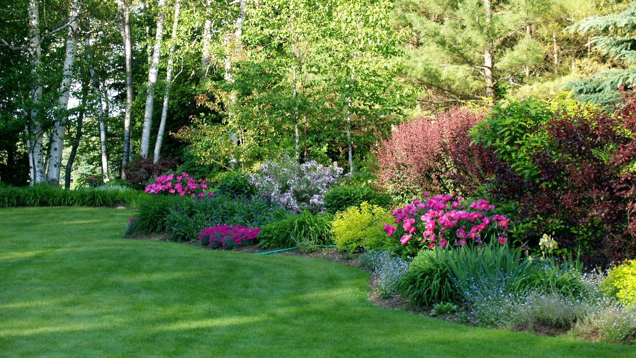 Photo of Outdoor in Dryden