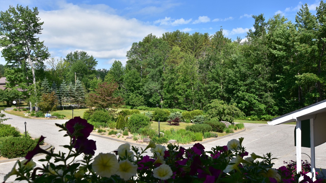 Photo of Outdoor in Dryden