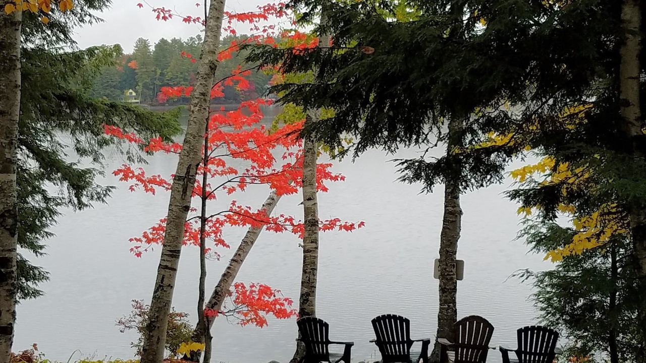 Photo of Outdoor in Dryden