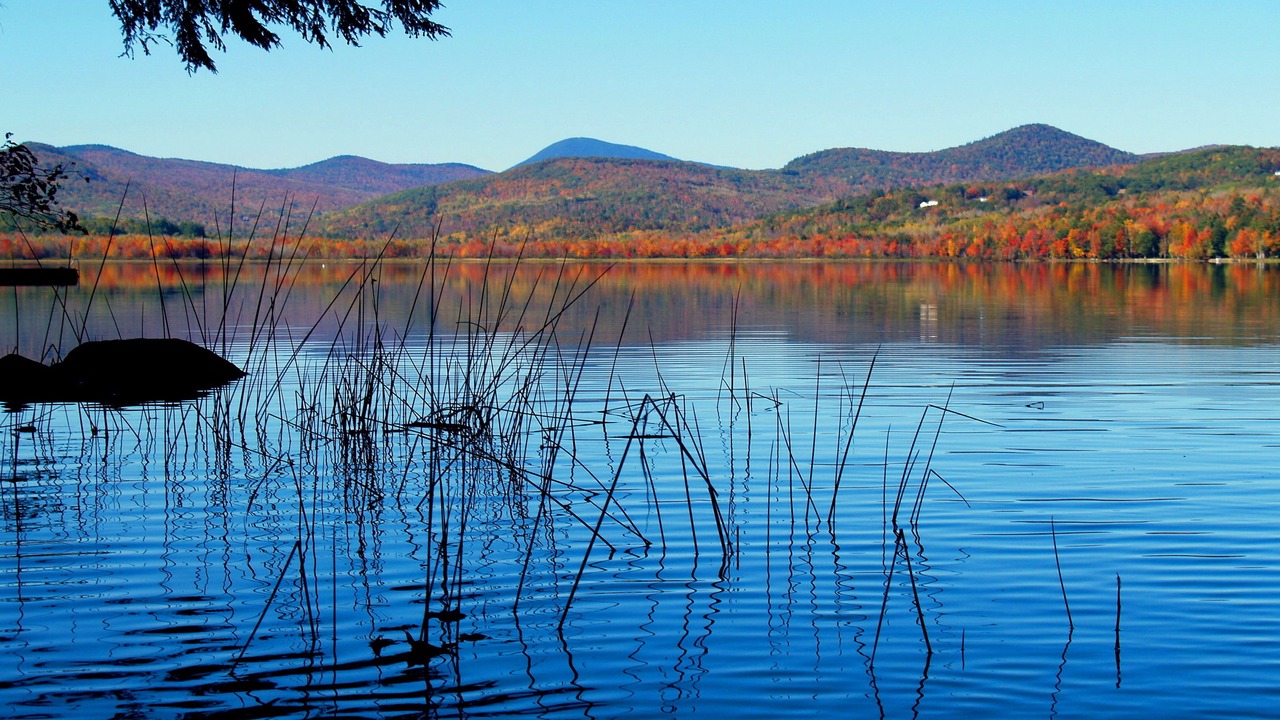 Photo of Outdoor in Dryden